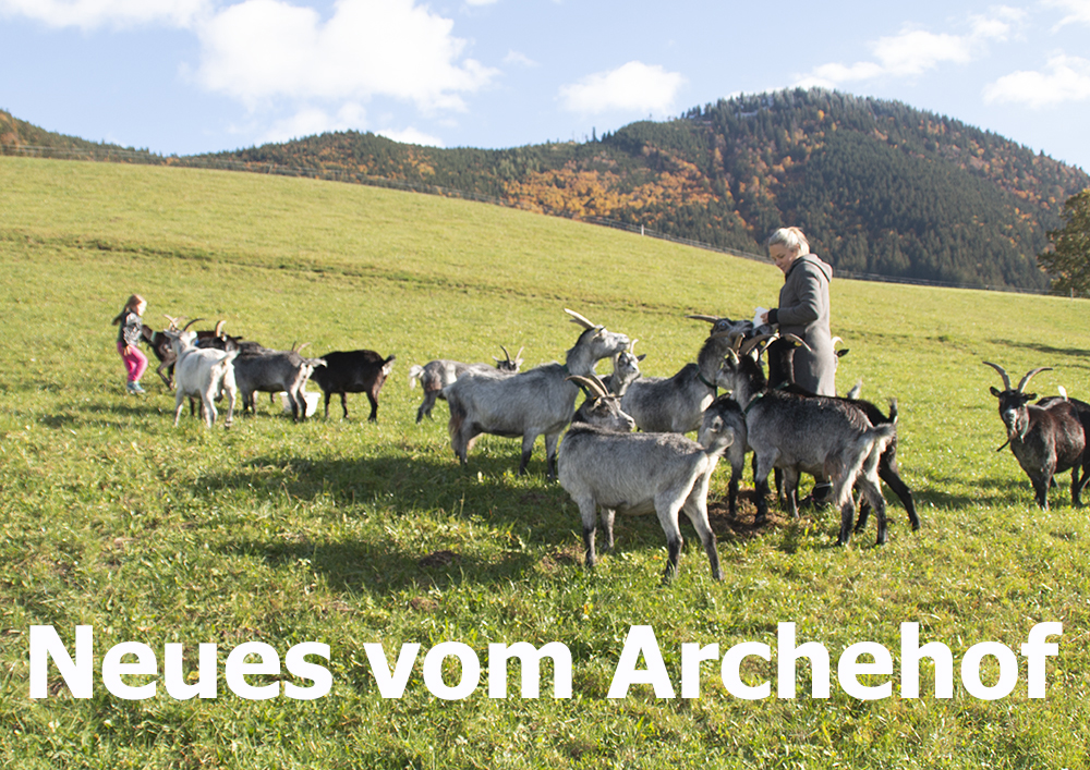 Neues vom Archehof Unterd�ller