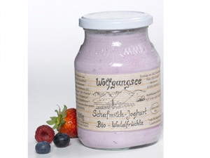 Schafmilchjoghurt Waldfrüchte BIO 