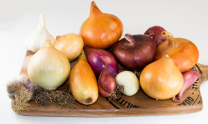 Bio Zwiebel von Priska Stekovics